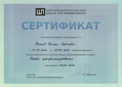 Сертификат основ программирования
